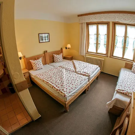 Alpský 3*