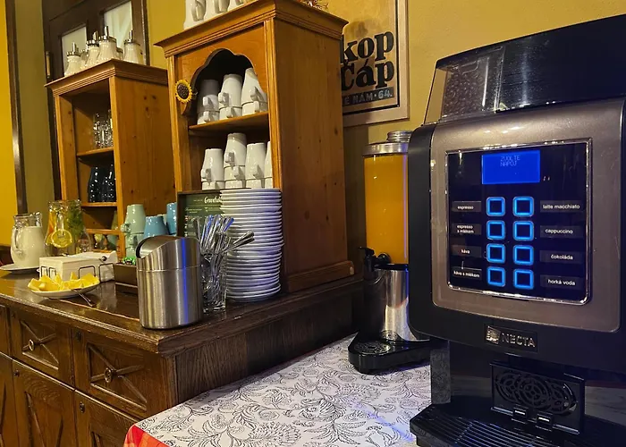 Alpsky Hotell Špindlerŭv Mlýn